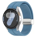 Blue-Silver