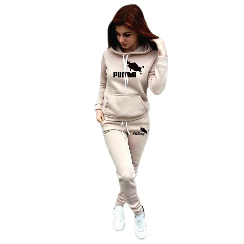 Sports Suit Women Casual Hoodies Sports Pants Two Pieces Set Tracksuit Pullover Hooded Sweatshirts Sweatpants Outfits Plus Size S-4XL