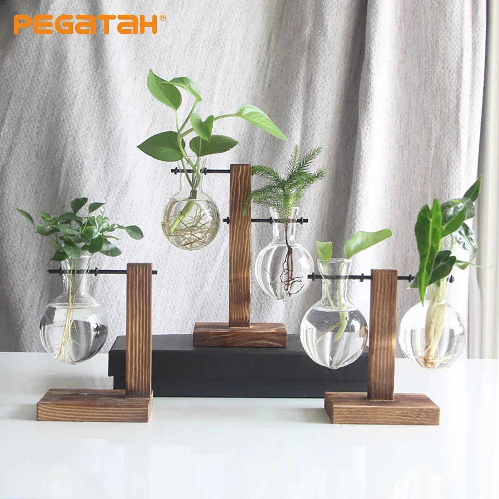 Bulb Vase Transparent with Wooden Stand Desktop Glass Planter for Hydroponics Plants Coffee Shop Room Decor