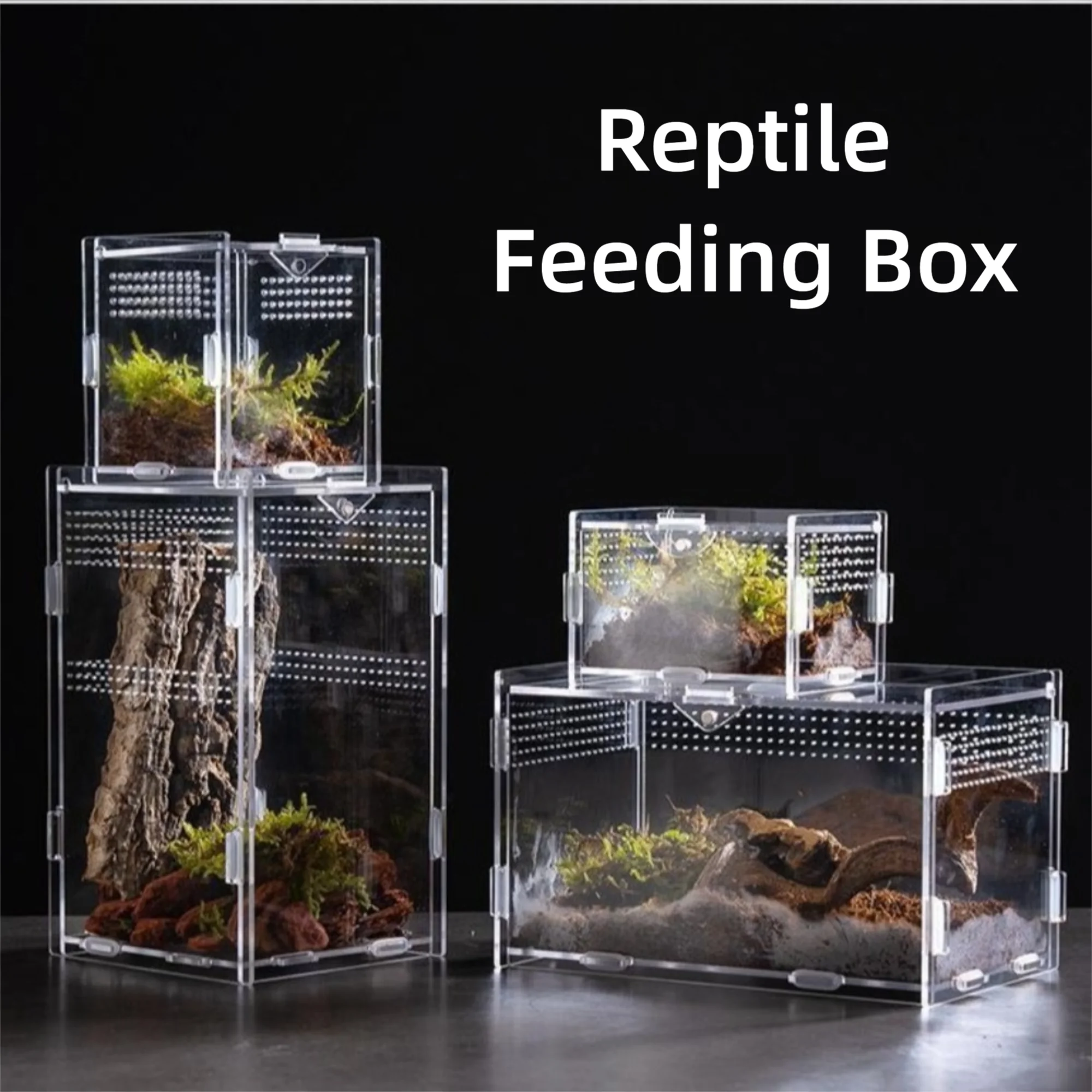 Acrylic Reptile Habitat 3