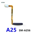 A25 Black