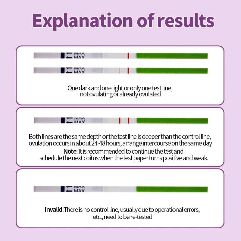 LH Ovulation Test Kit Strips Female Urine Measuring Cup Luteinizing Hormone Tests Over 99% Accuracy for Women 20pcs