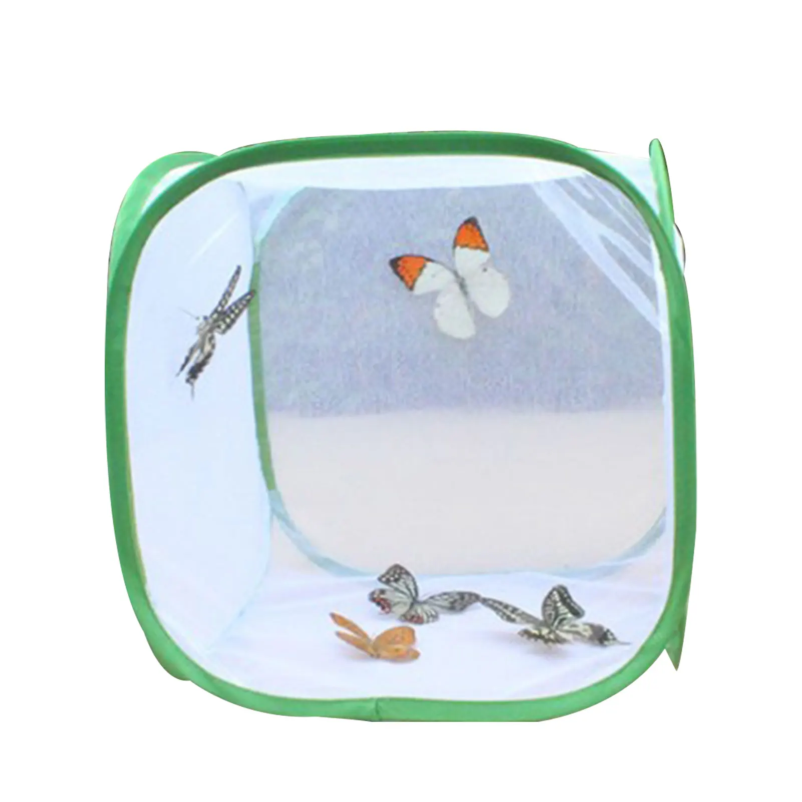 Insect Butterfly Observation Cage Net