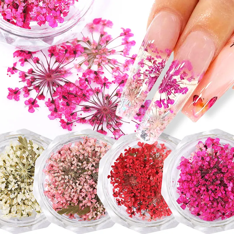 12 Colors Real Dried Flowers 3D Nail Art Decors Design DIY Tips