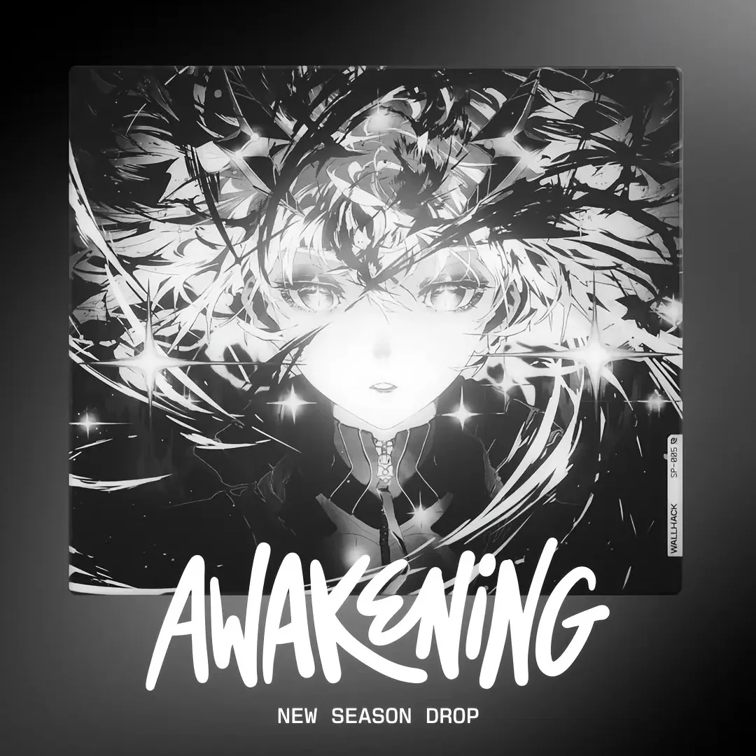 WALLHACK SP-005 AWAKENINGSORA 新品 マウスパッド SP-005 (Black) Glass Gaming Mousepad | Wallhack