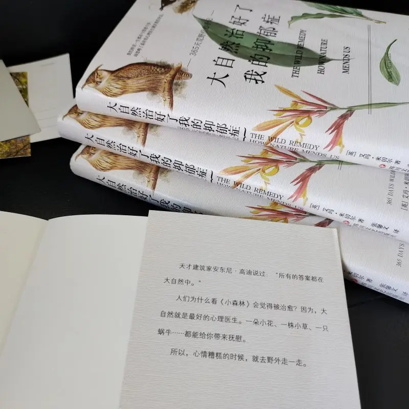 Рисунок 5 - Естественное восстановление моей депрессии