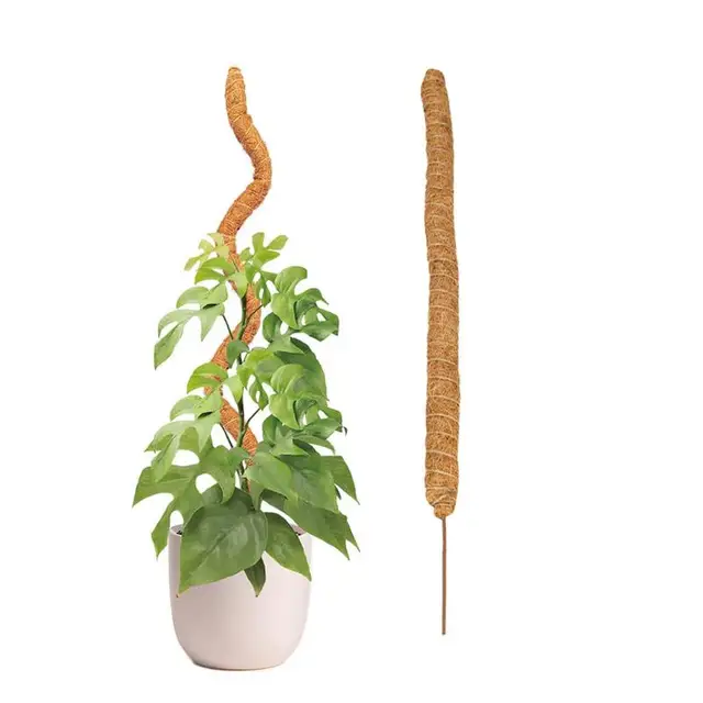 Hajlítható Coco Coir Növényi Tartó Tét Hegymászó Meghosszabbítás A Monstera Plant Pole -Hez Beltérihez