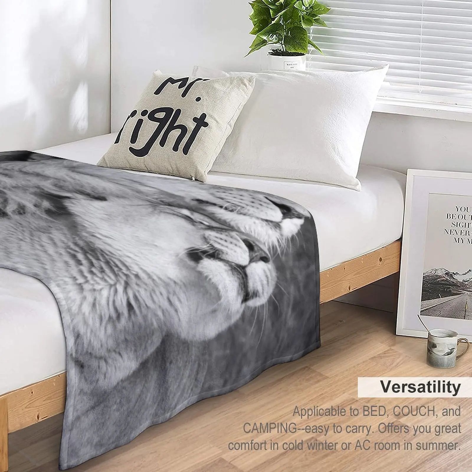 ���� ���̿½� ������ ���, ǫ���ϰ� ǫ���� �� ���, �ε巯�� �÷��� ���� ����