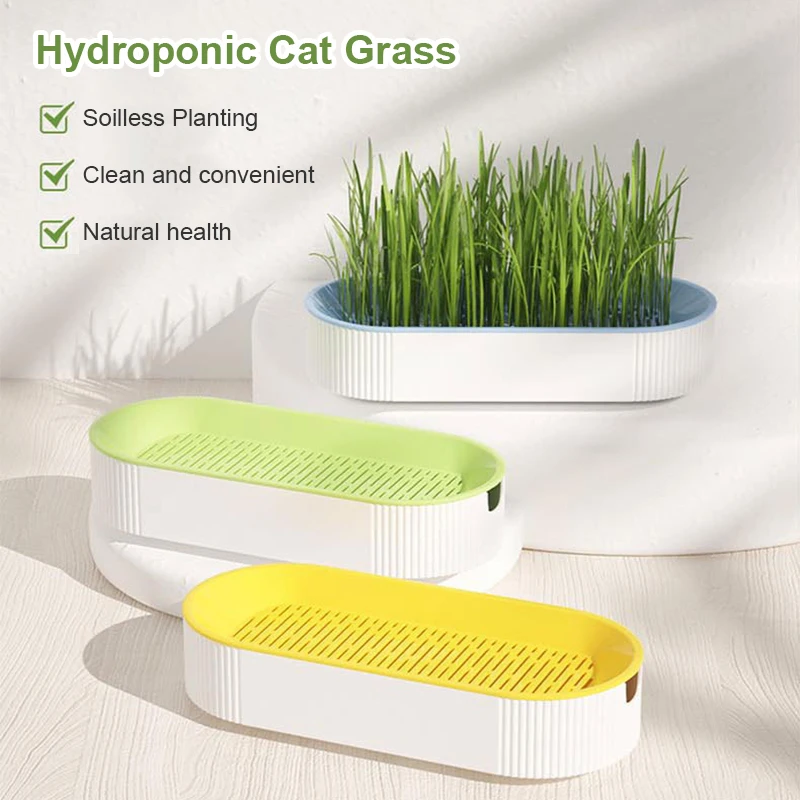 NewCatSnackCatMintPlantingHydroponicBoxCatgrassPotColor