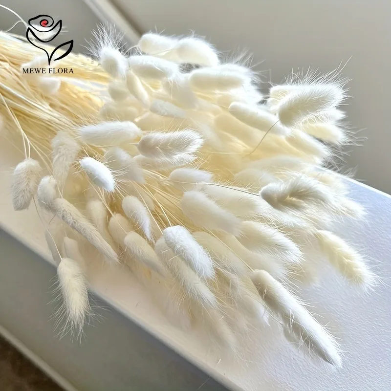 Fiori Secchi Autunnali Code Di Coniglio - 60 Pezzi, Arancione, 43 Cm, Per Decorazioni E Centrotavola - Foto 8