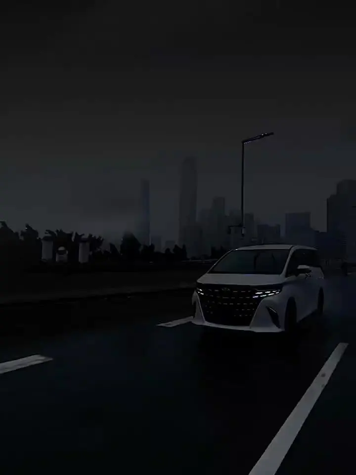 Ящик для хранения багажника автомобиля подходит Toyota Alphard Vellfire 40 салон ящик багажа