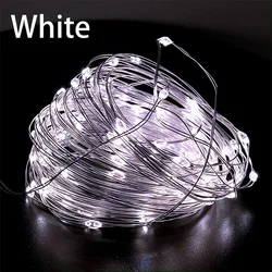 Enchanting USB - Powered Copper Wire LED Fairy Lights - Perfect for Holiday & Party Decor (WHITE)
