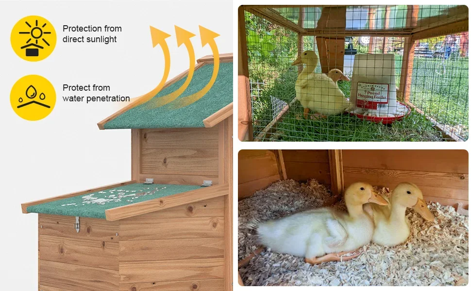 Wooden Outdoor Chicken Coop