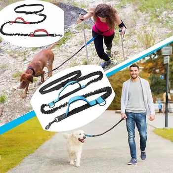 Dual Dog Leash 5
