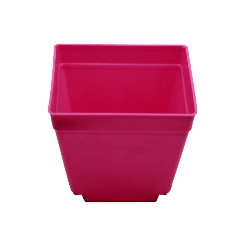 Set of 6 Colorful Mini Square Succulent Plant Pots with Trays