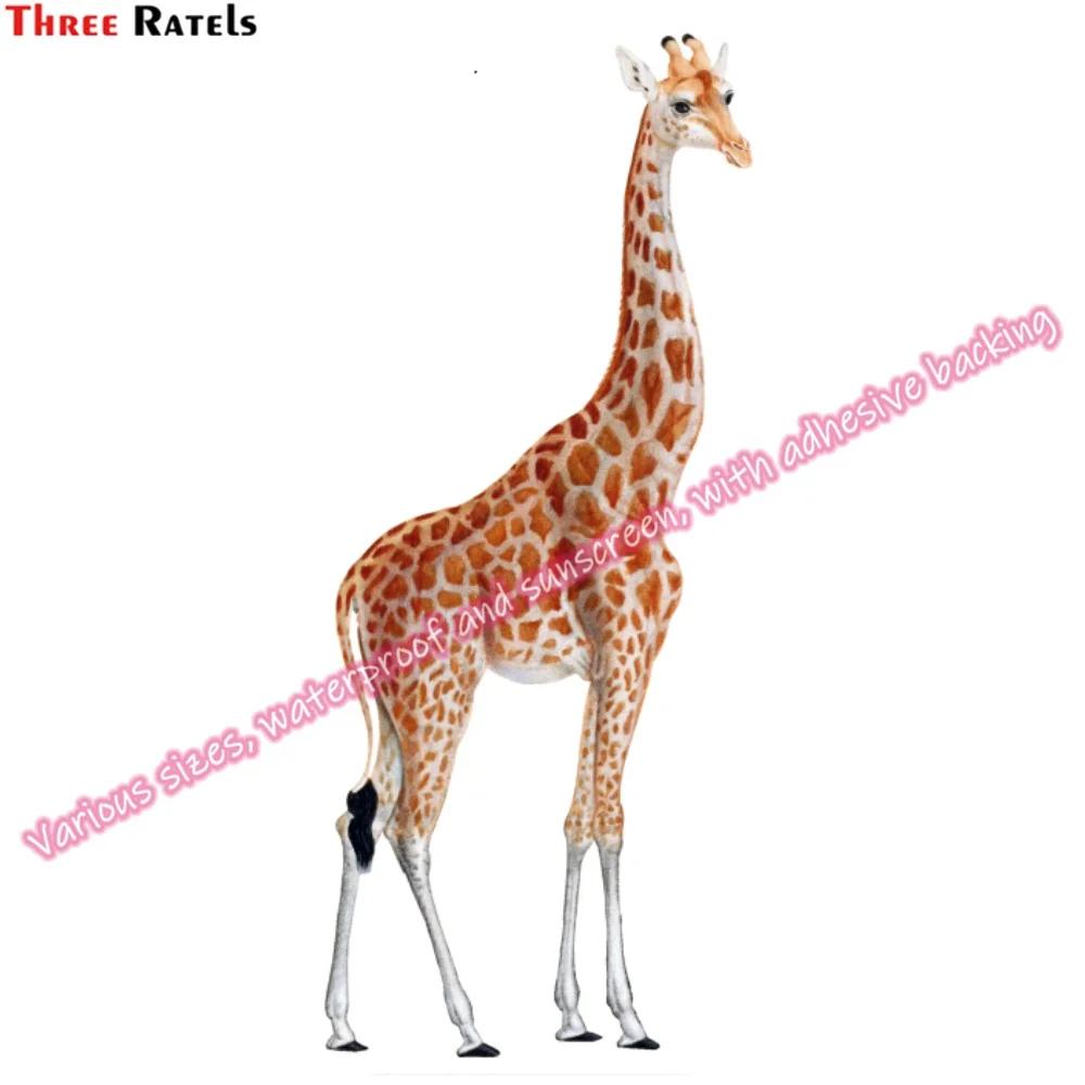 Рисунок 5 - Наклейки Three Ratels N161