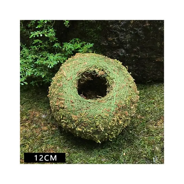 12cm