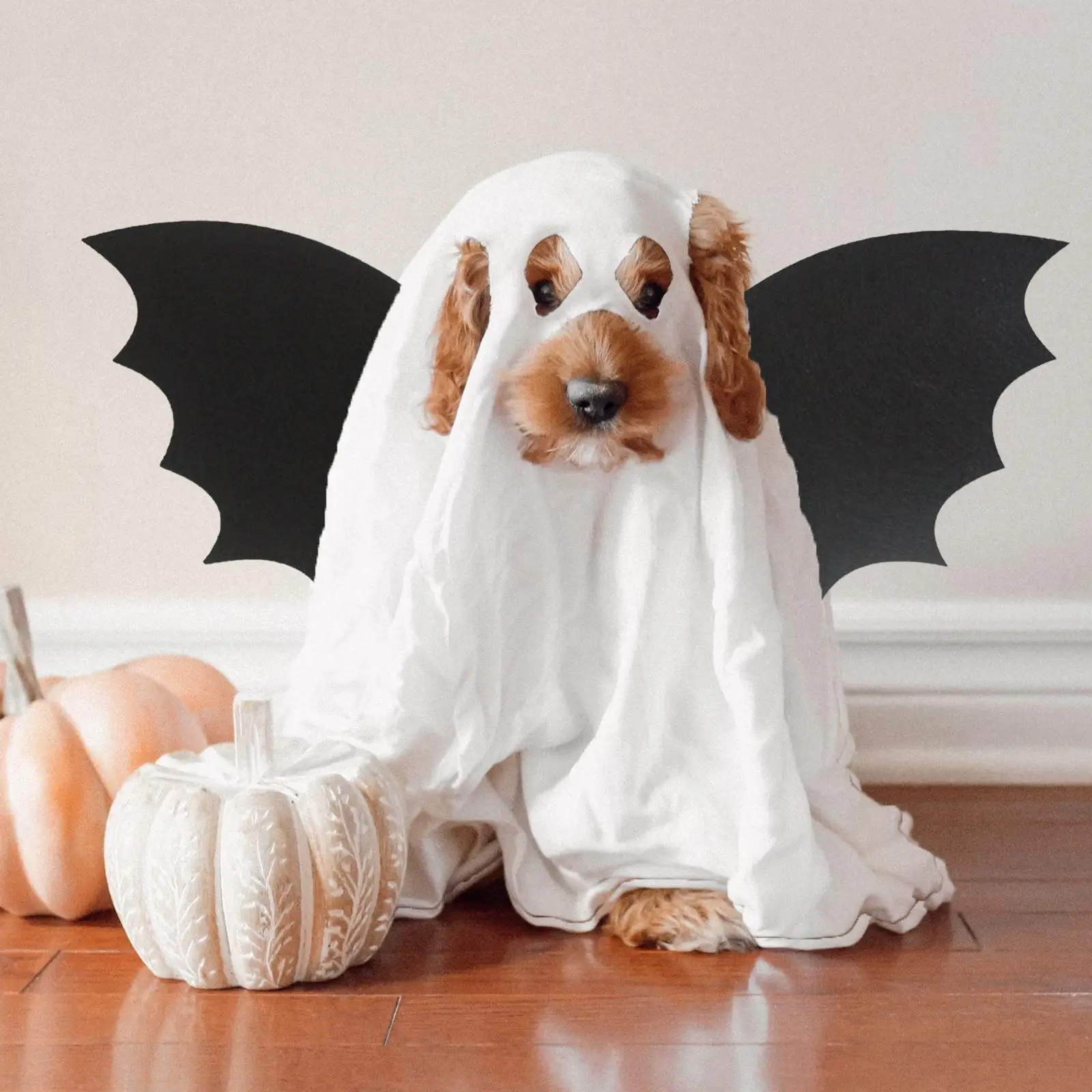 

Creative Wing Party Favors Gothic Halloween for Birthday Festival Cat Toddlers