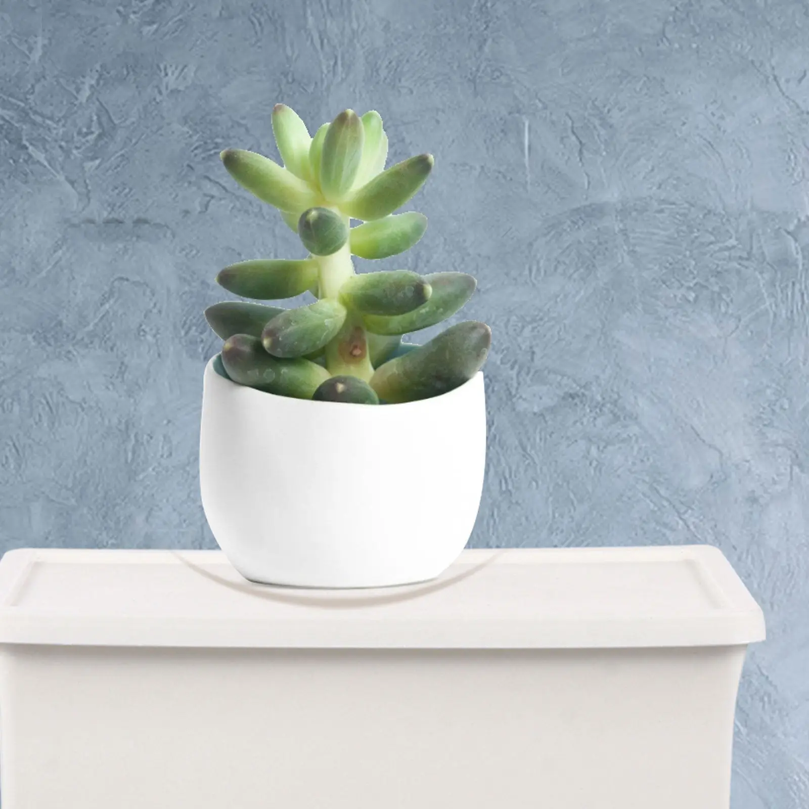 2Pcs 플라스틱 보관 상자 데스크탑 홈 오피스 기숙사용 창의적인 고강도 잡화 홀더 깔끔한 보관 주최자