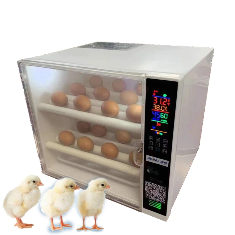 

Poultry household hatching eggs equipment for sale