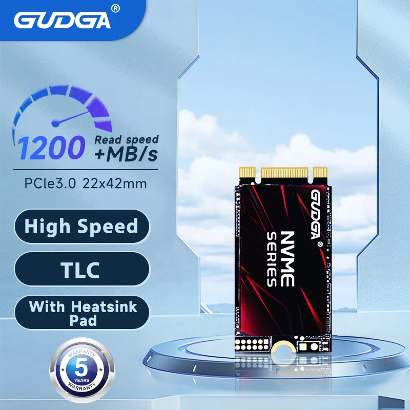Gudga M2 Nvme Pci-E Segnale Gen3.0X2 2242 Nvme Ssd 1Tb 128Gb 256Gb 512Gb Hdd Unità A Stato Solido Interna Per Thinkpad L480 T480