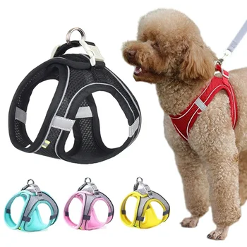 Ensemble de laisse en maille SFP Glaand pour petits chiens, réglable, chiot, chat, extérieur, marche, sangle de poitrine, fournitures pour animaux de compagnie, été
