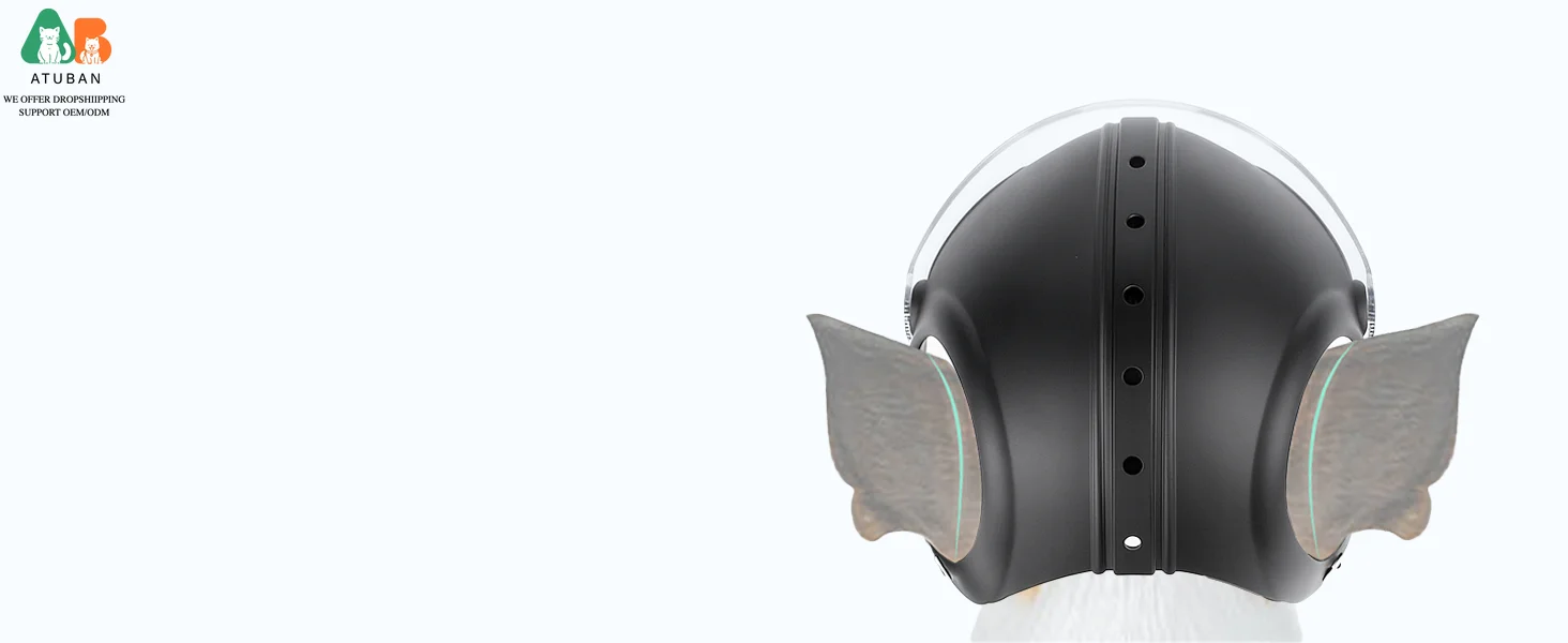aplus content image