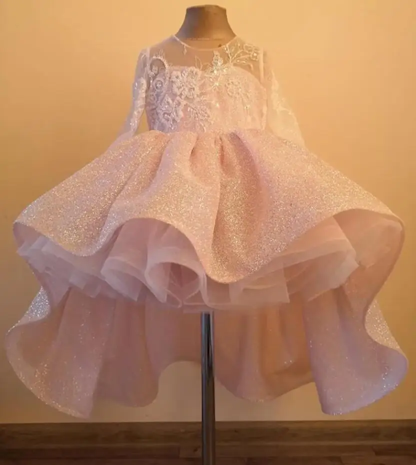 

Sparkling Baby Girl Dress Pink Embroidered Bodice Princess Flower Girl Dress Wedding Girls Birthday Party Gown with Big Bow