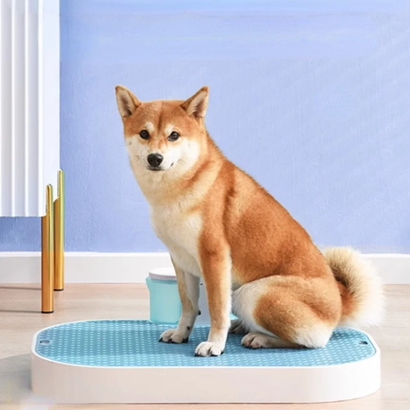 

Holder Dog Potty Tray Accessories Sprinkler Pads Grooming Pet Toilet Scoopers Training Bolsas Caca Perro Pet Products CY50DT