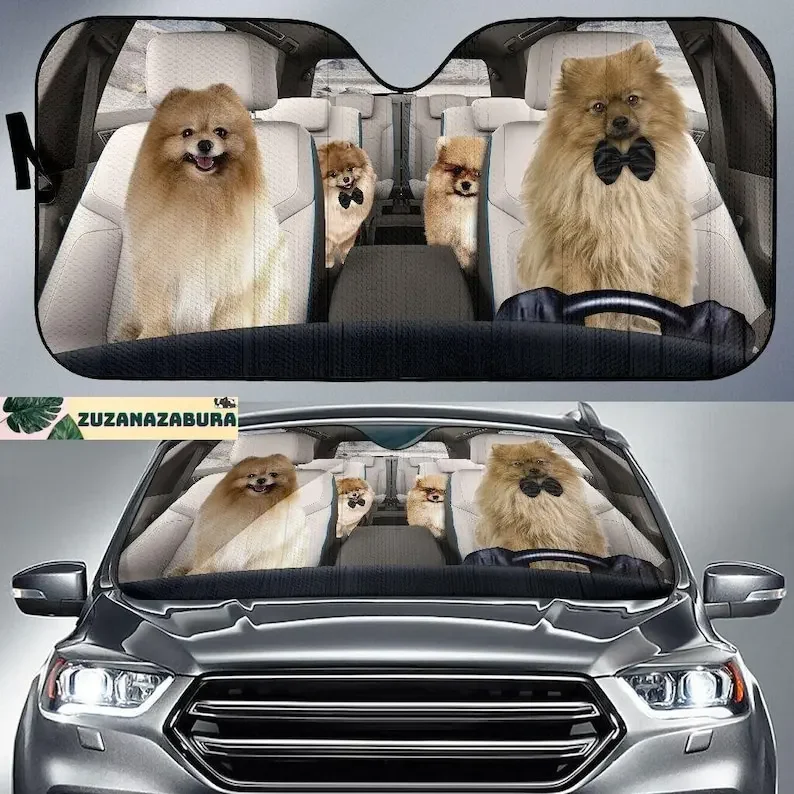 

Солнцезащитный козырек для семейного автомобиля померанского, солнцезащитный козырек для лобового стекла померанского автомобиля, солнцезащитный козырек для померанского автомобиля