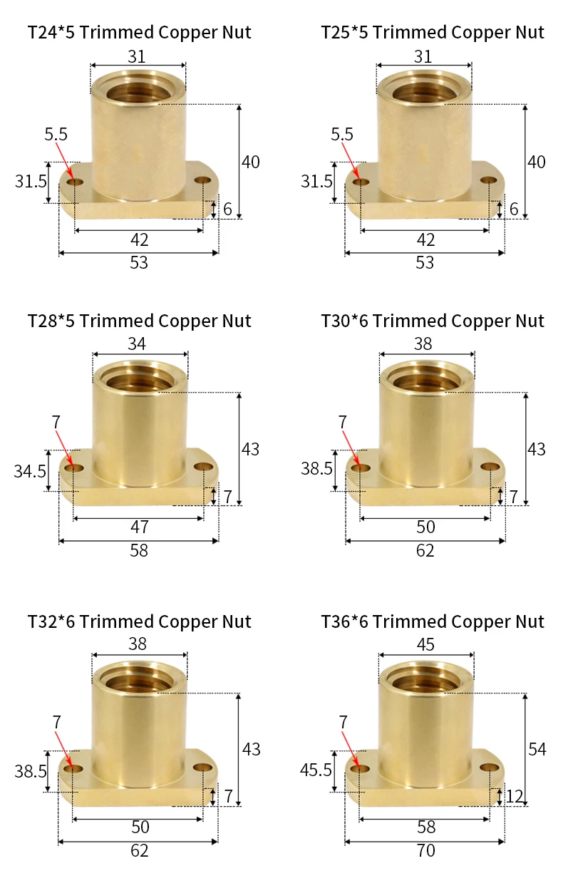Kieferorthopädische T-förmige Doppelkantige Kupferflanschmutter mit zwei Löchern T10 T12 T14 T16 T18 T22 T25 T28 T30 T32 T36 – Detail 10