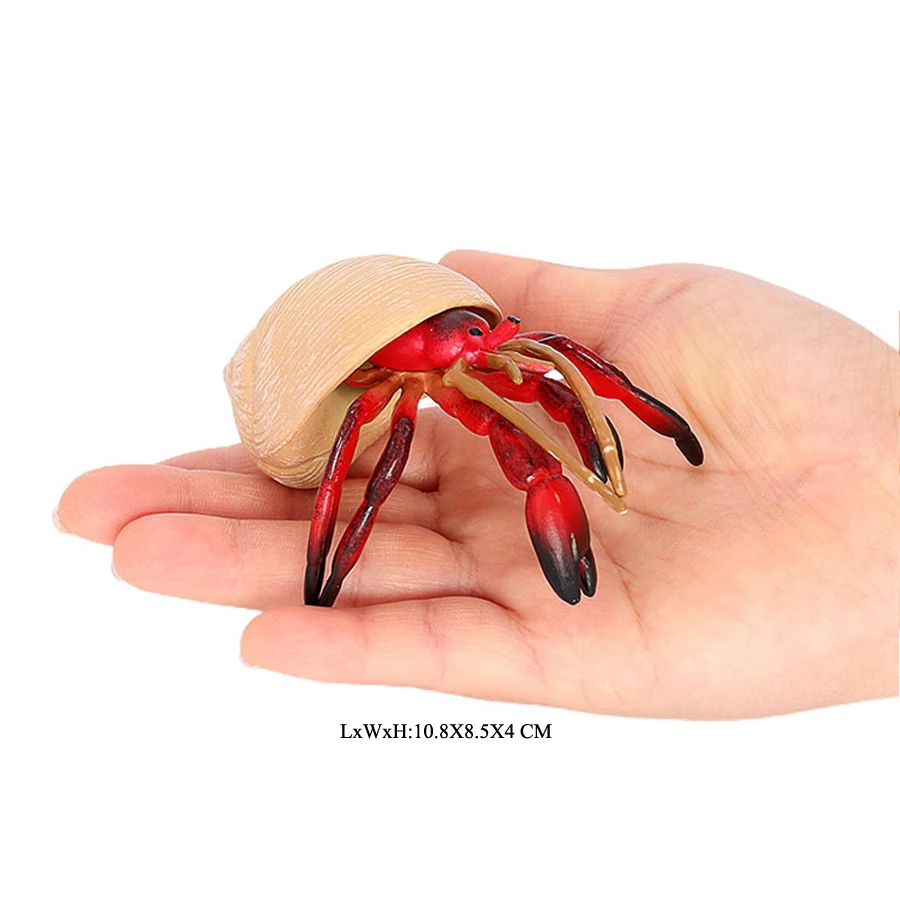 Realistische Ozean Tiere Einsiedlerkrebs Kokosnuss Krabbe Fiddler Krabbe Meer Leben Modell Action-figuren Meerestiere Spielzeug Für Home Decorati – Detail 1