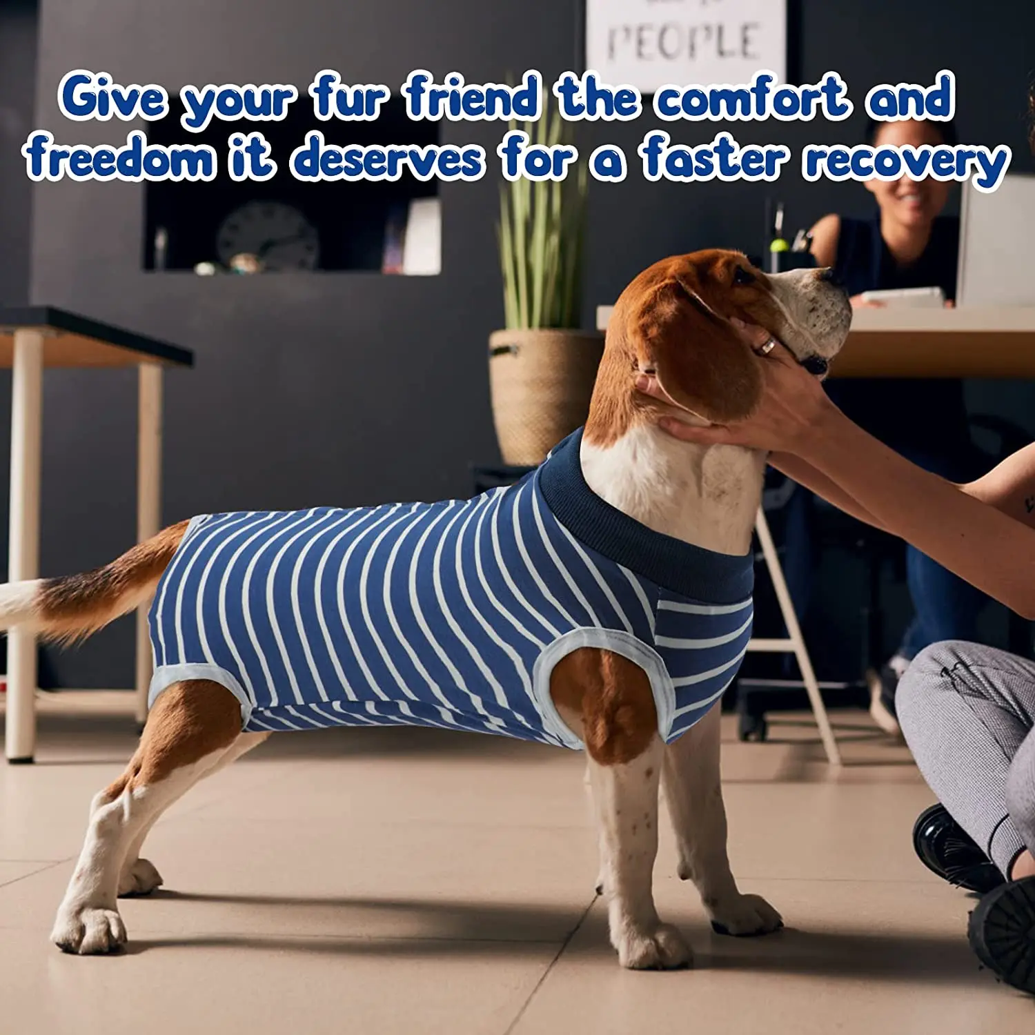 개를 위한 수술 후 회복복 수술 후 애완동물 복부 상처 소형 중형 대형견을 위한 수술복 착용