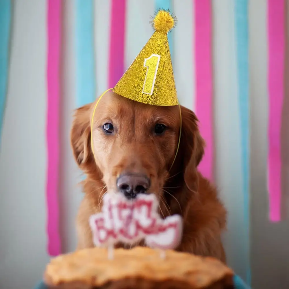 Pet Birthday Caps With Ball Cat Dog Costume Sequin Headwear Cap Hat Christmas Party Pet Accessories Decoration 4