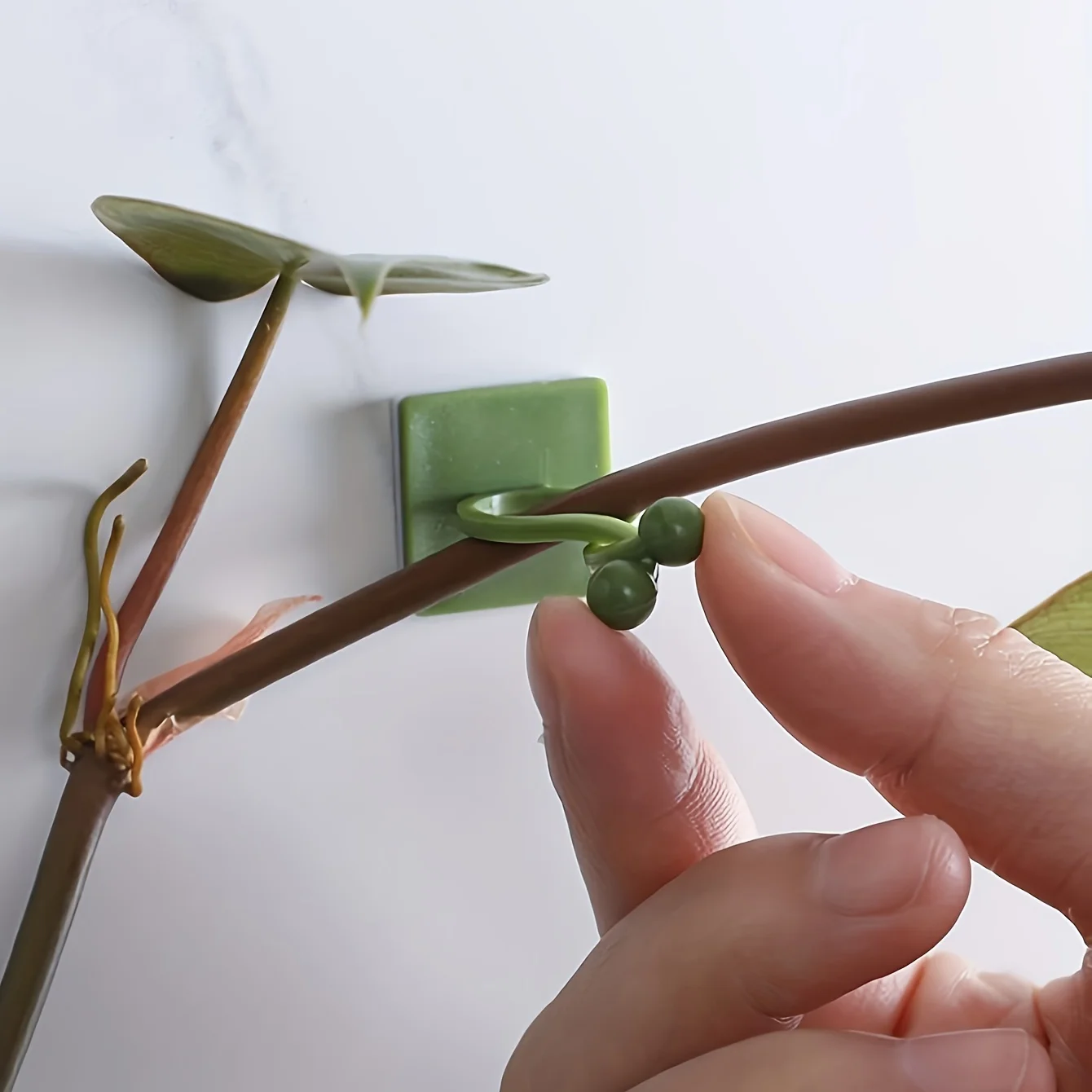 Home Garden Accessories Fixator Plant