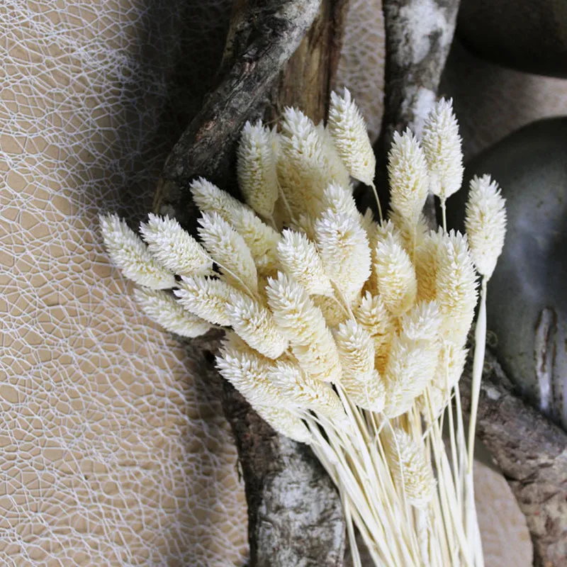 

Primary Color,White Immortal Gem Grass 50Pcs/Lot The Flower Head Size Is About 2-3cm Real Dried Bouquet For Home Office Decorati