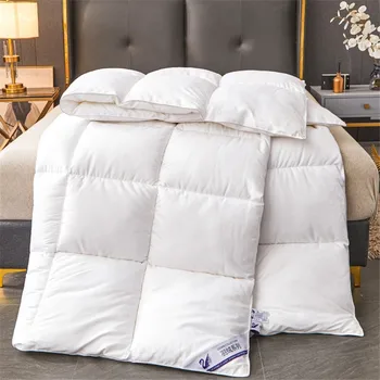 Winter Imitation Goose Down Quilt Five-Star Hotel Duvet Super Soft Fluffy Full Single Autumn Spring Comforter Quilted Blanket 1