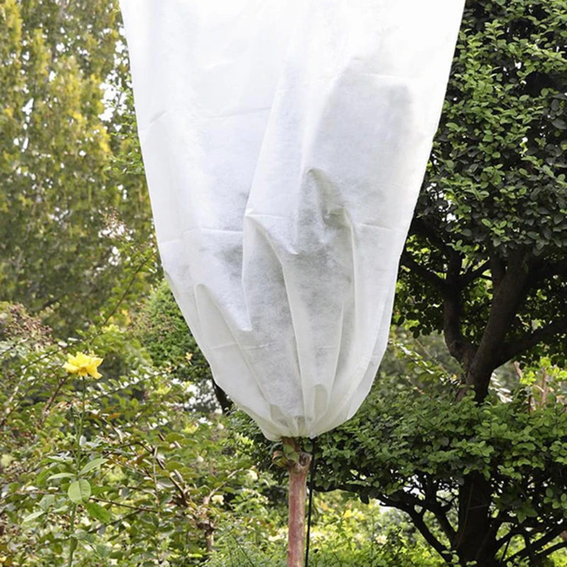 Plant Covers Winter Protection Cover Cold Protection Plant Plant