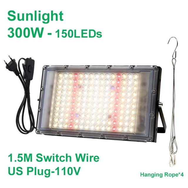 Sunlight 300W US
