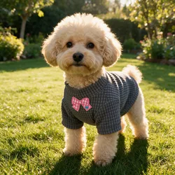 Floral Embroidered Breathable Pet Shirt - Cute Short Sleeve Dog Top - XXL (GRAY)