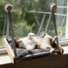 Wooden Cat Hammock with Suction Cups, Wall Mounted Sunning Lounge with Plush Pad - Cozy Hanging Bed for Indoor Cats 3
