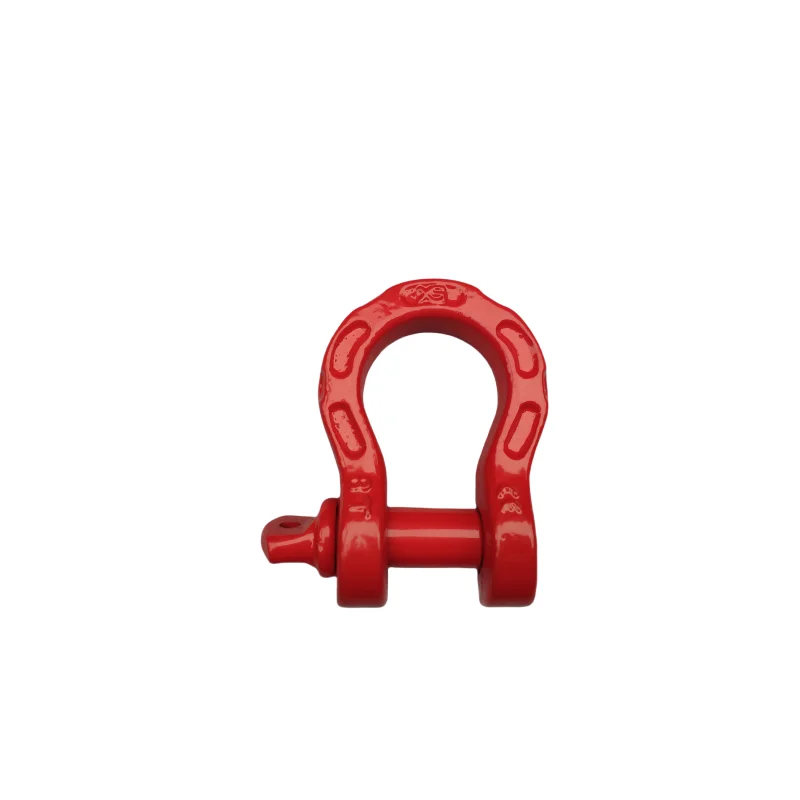 Lot De 4 Cadenas à Manille En D M10/1 Cm - Anneaux En Acier Inoxydable 304 Robuste Pour Construction, Remorquage Et Gréement