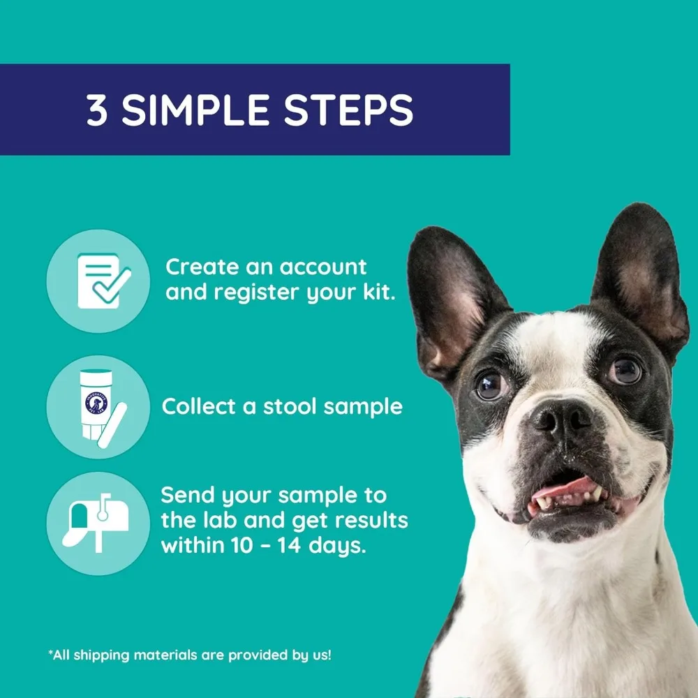Comprehensive Review at Home Test Kit for Dog Digestive Health Allergy Causes Gut Microbiome Symptoms Evaluation Expert