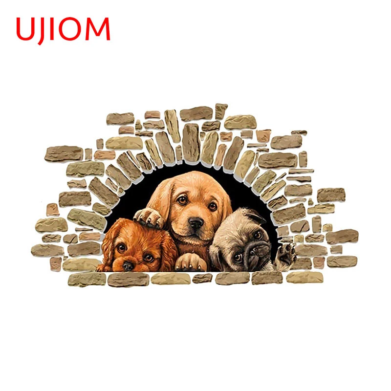 Why Do Dogs Scratch At Walls