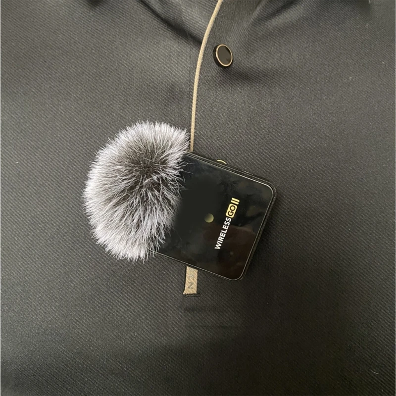 Microfoon en Windscherm stock afbeelding. Image of geïsoleerd - 2939217
