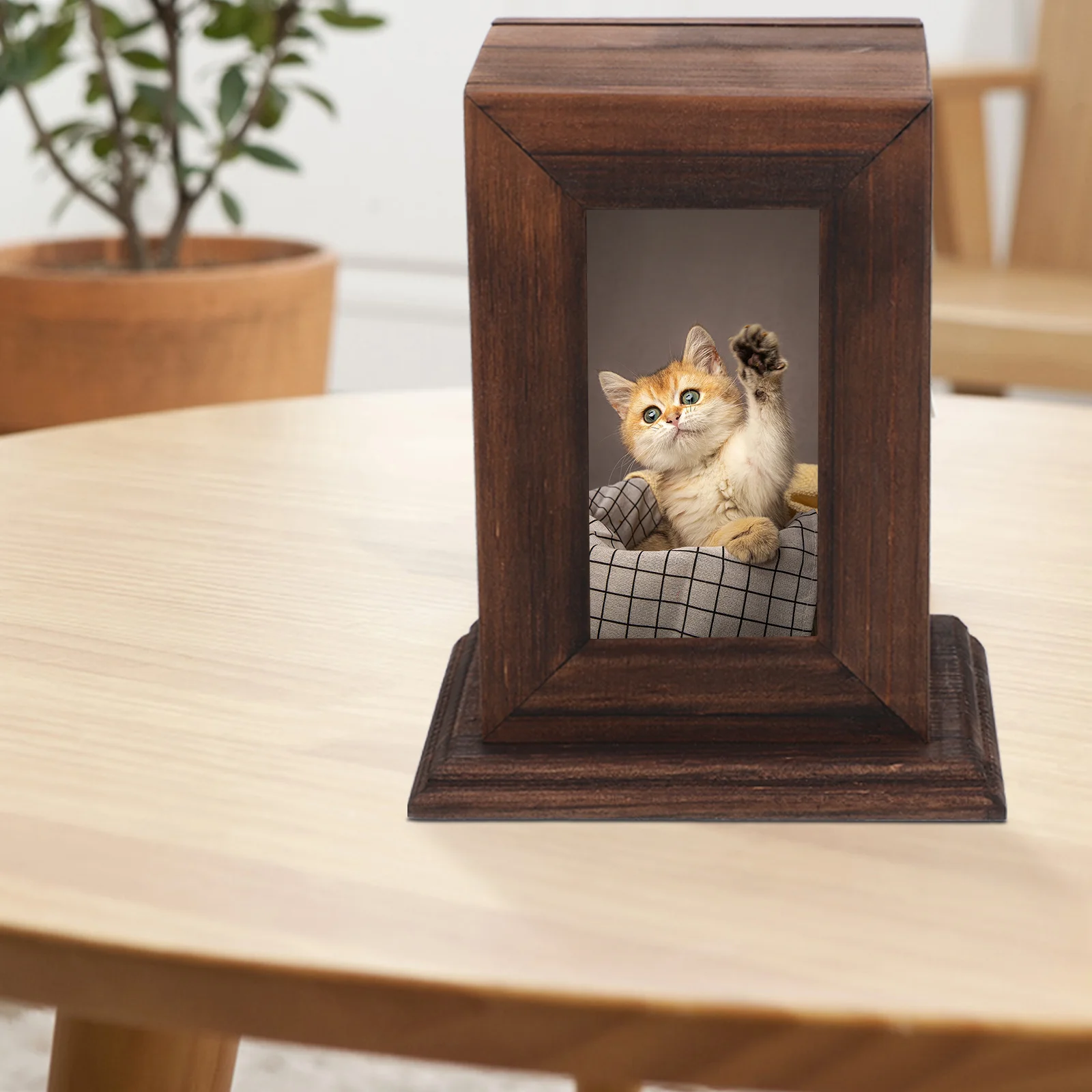 Pet Ashes Cremation Urn Dog Memorial Cinerary Casket Cat Ash Wooden Box