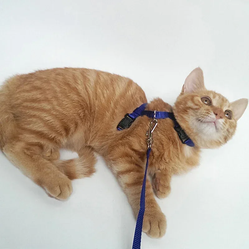 1PC Cat Collar Harness Leash Adjustable Nylon Pet Traction Cat Kitten Halter Collar Puppy Dog Cat Product Small Pet Harness Belt