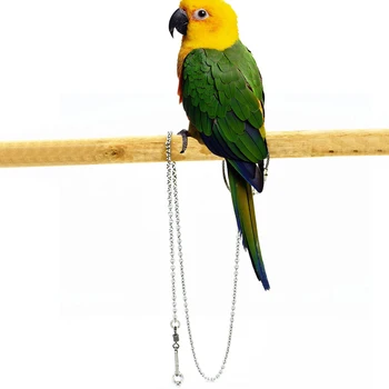 Bird Parrot Foot Chain Stainless Steel Ankle Foot Ring Stand Chain Outdoor Flying Training Starling Pigeon Bird Accessories
