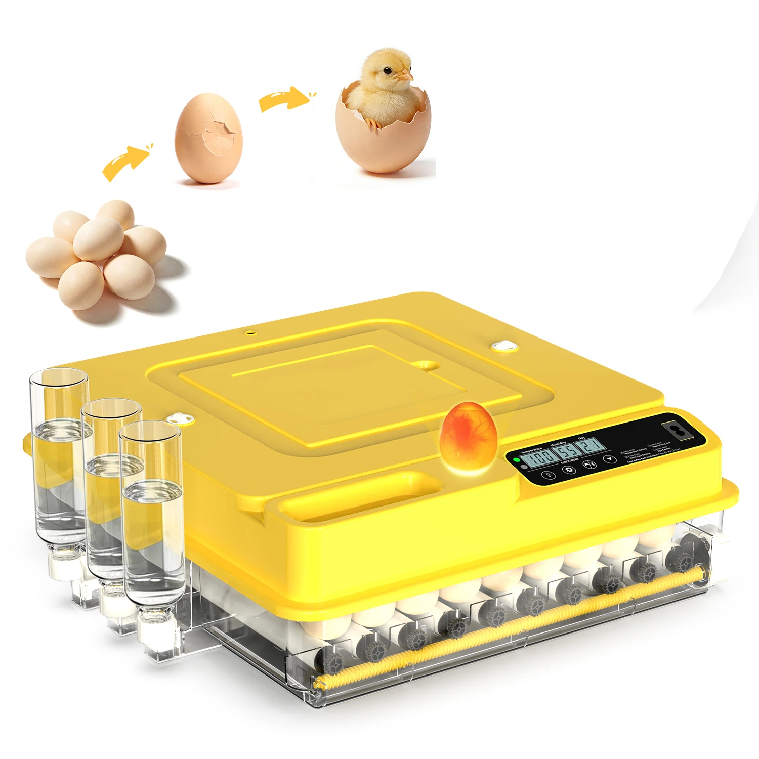 72 Eggs