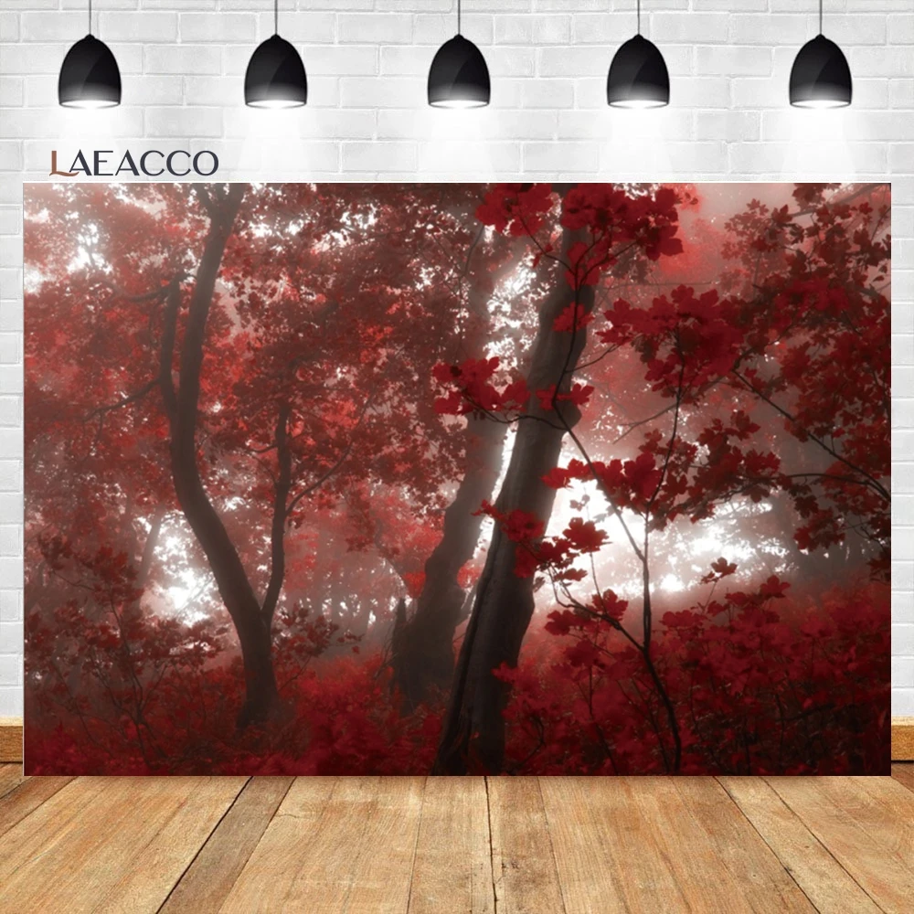 Laeacco ö  ʿ   , ߿  ǳ ڿ ǳ,   ʻȭ  